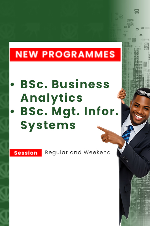 Bsc. Business Analytics Bsc Management Information Systems